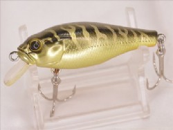 Gold tiger
