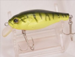 Pearl hot tiger
