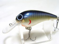 Shad