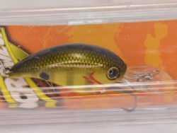 Chart gill