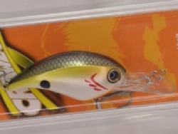 White shad