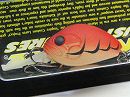 American craw (#154)