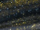 Gold flake black back (#402)