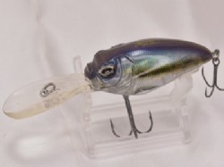 GS moroko