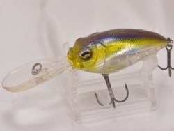 HT IL Tennessee shad