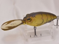 Ito shrimp