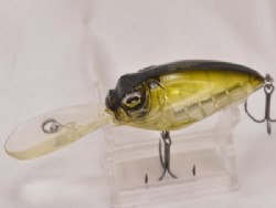 NC Stardust shad OB