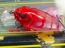 GLXS Fire craw