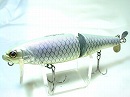 Silver arowana