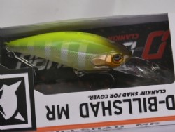 POL chart back blue gill