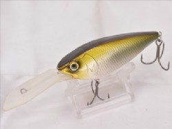 Nittan (2009 Member limited color)