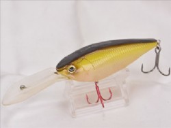Holizon shad