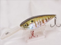 Prism gill