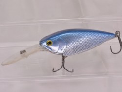 Blue shad