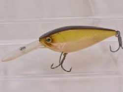 Horizon shad