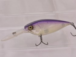 Purple shad