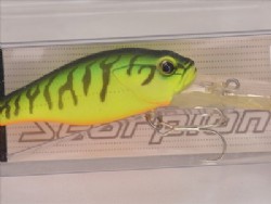 SF hot tiger