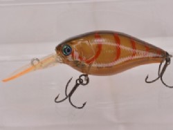 #06