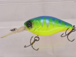 Blue back tiger