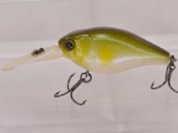 Bone ayu