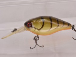 Brown craw