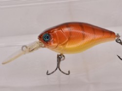 Craw fish