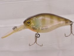 Ghost blue gill