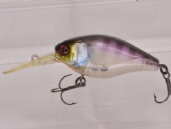 Ghost gill