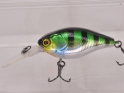 HL BLUE Gill