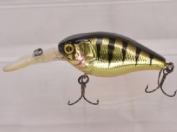 HL champagne tiger