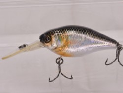 HL ginkuro