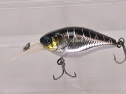 HL ginkuro tiger