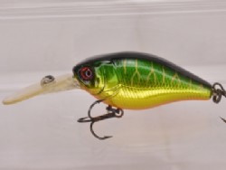 HL tiger