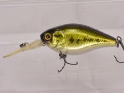 Holographic bass