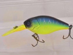 Mat blue tiger