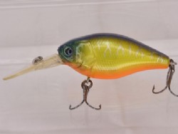 UL chart tiger