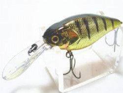 HL gold tiger