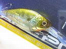 HL Stripe gill