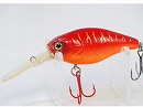 Red tiger