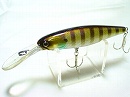 Blue gill