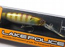 E2 Blue gill