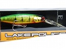 E2 HL Peacock