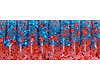 Blue glitter / red glitter (#23)