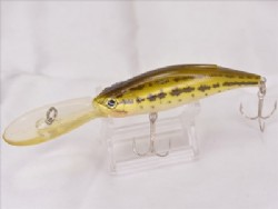 Bass