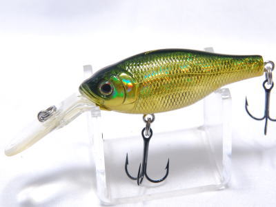 GG Moss back golden shad