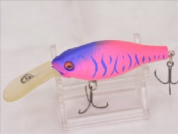 Peach tiger (Special color)