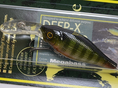 Megabass Deep x 100  peacock