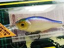 SG Tequila shad