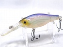 SG Tequila shad