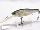 SG Kohoku SP